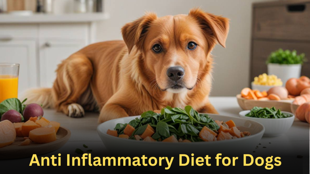 Anti Inflammatory Diet for Dogs