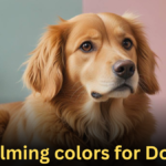 Calming Colors for Dogs